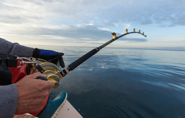 Perbedaan Mancing Air Tawar dan Air Laut: Mana yang Cocok Buat Kamu?