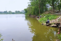 Mancing Waduk Sekitar Surabaya: Spot Terbaik dan Tips Jitu untuk Pemula